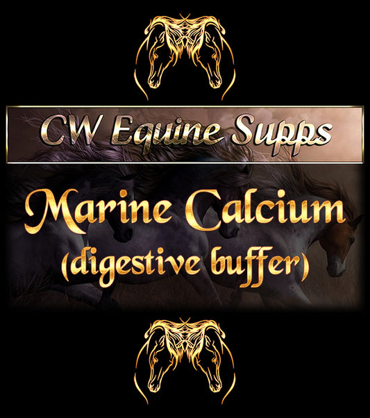 Marine Calcium (digestive buffer)