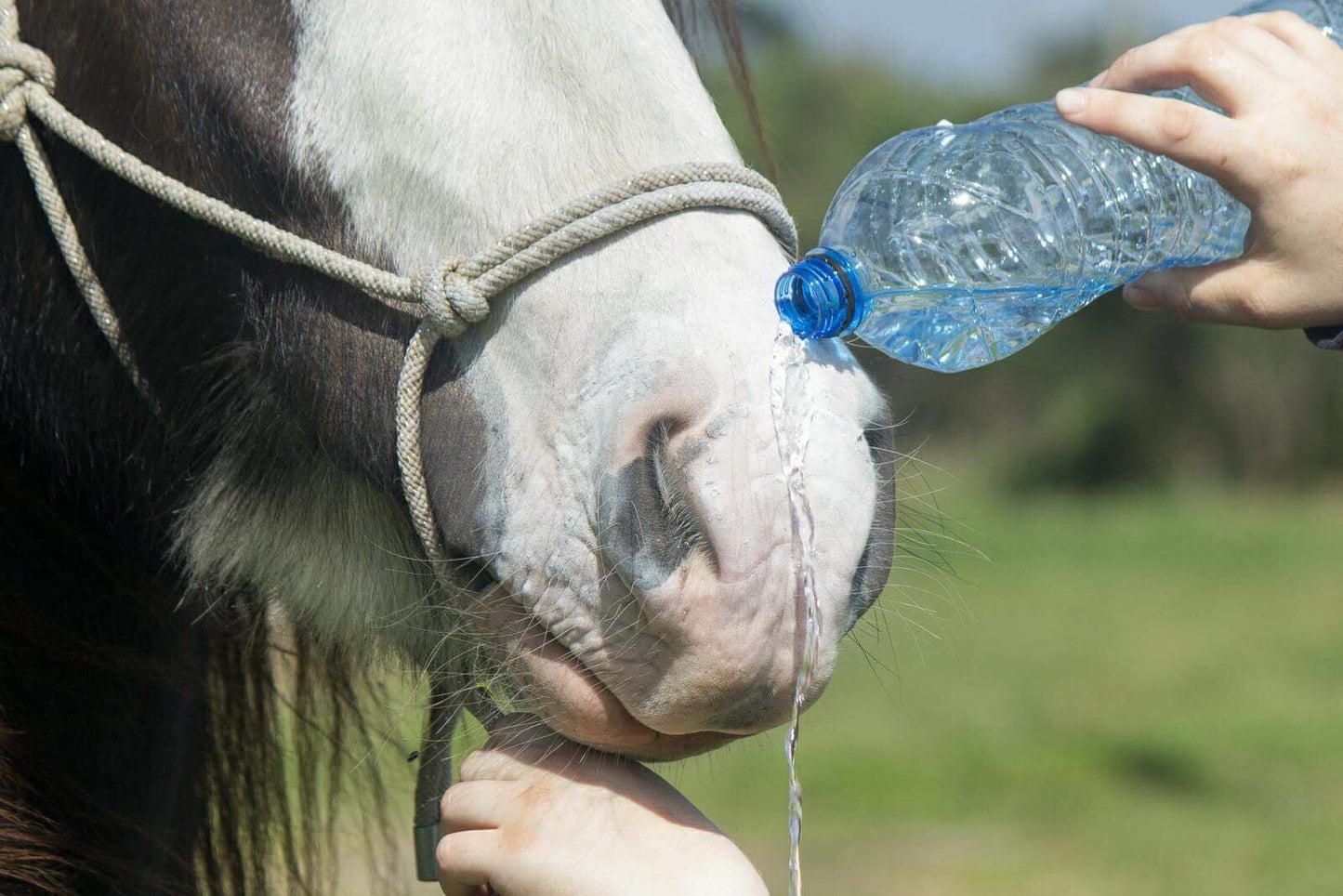 Good Gear Naturals - Sunscreen Powder
