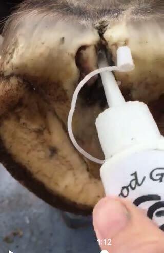 Good Gear Naturals - Stay Put Cream