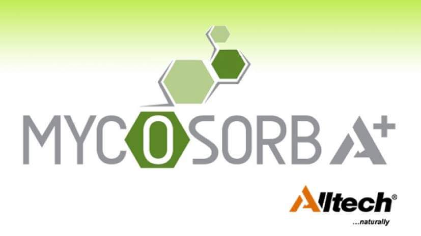 Mycosorb A+ (Toxin Binder)