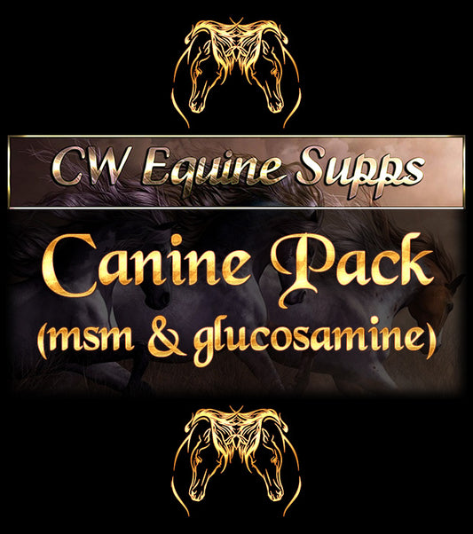 Canine/Small Equine Pack (MSM & Glucosamine)