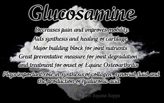 Glucosamine Sulfate or Glucosamine HCL