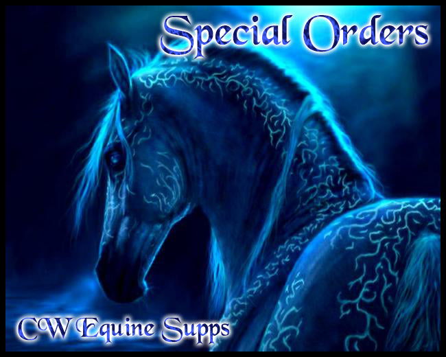 Special Orders