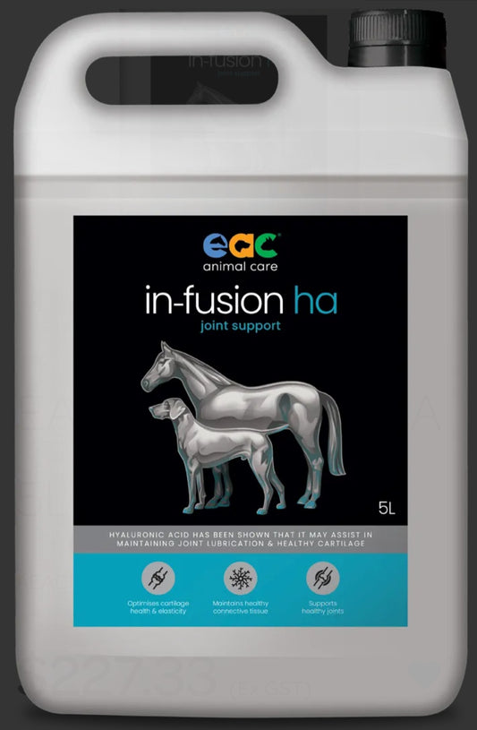 In-Fusion HA - High Quality Hyaluronic Acid Supplement For Horses, Dogs & Cats 5 Litre
