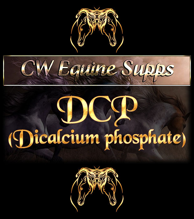 DCP (Dicalcium phosphate) powder