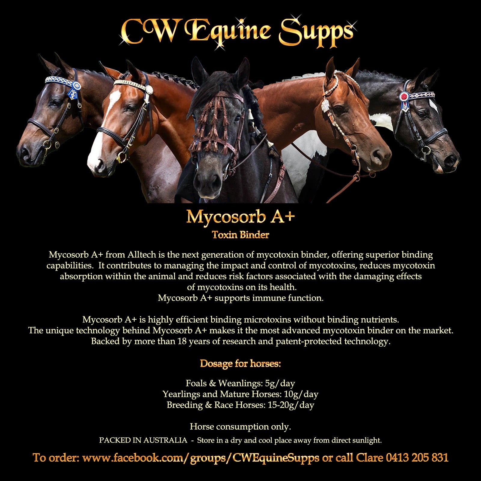 Home CWEquineSupps home-cwequinesupps