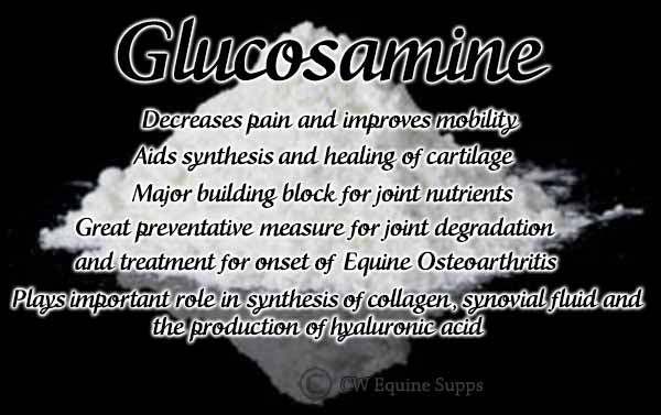 Glucosamine Sulfate (for joints & arthritis)