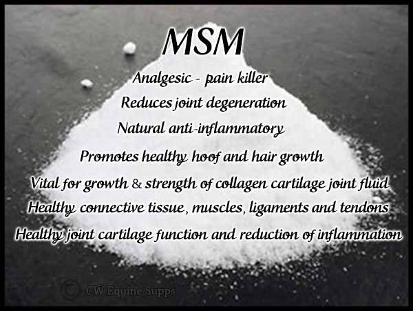 MSM (Anti-inflammatory & Pain relief)