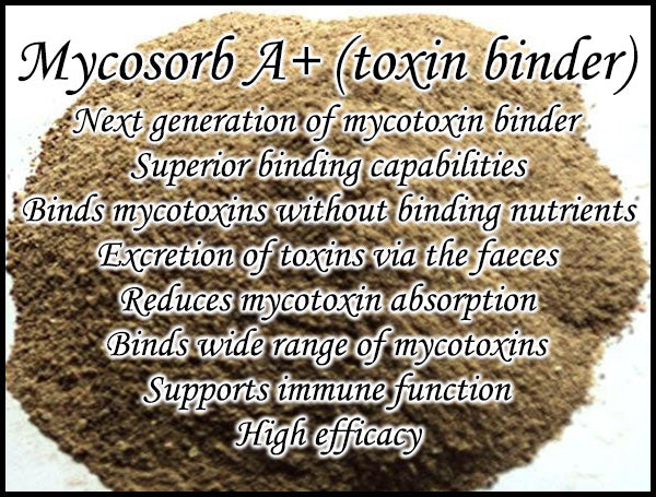 Mycosorb A+ (Toxin Binder)