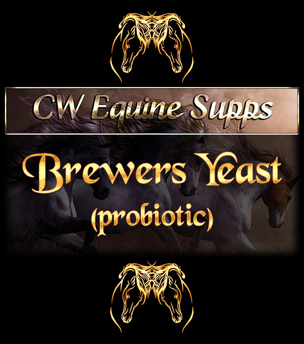 Brewer's Yeast