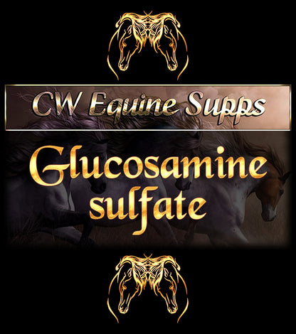 Glucosamine Sulfate (for joints & arthritis)