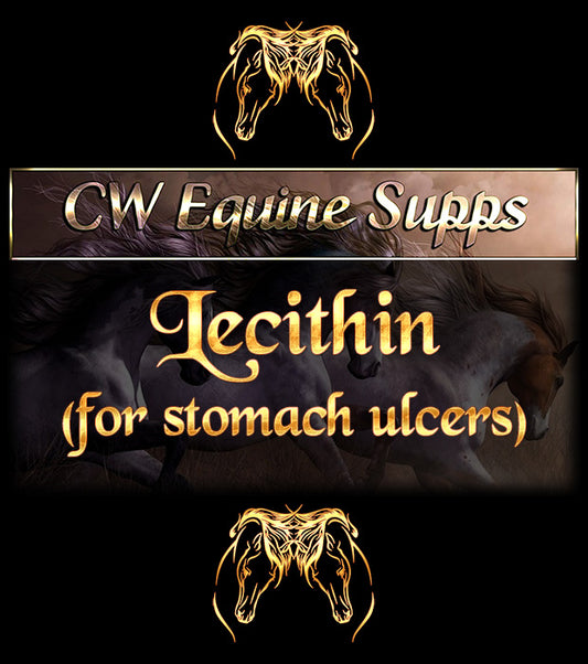 Lecithin Powder (for stomach ulcers)