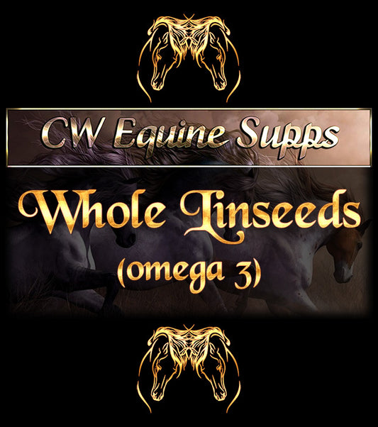 Whole Linseeds (Omega 3)