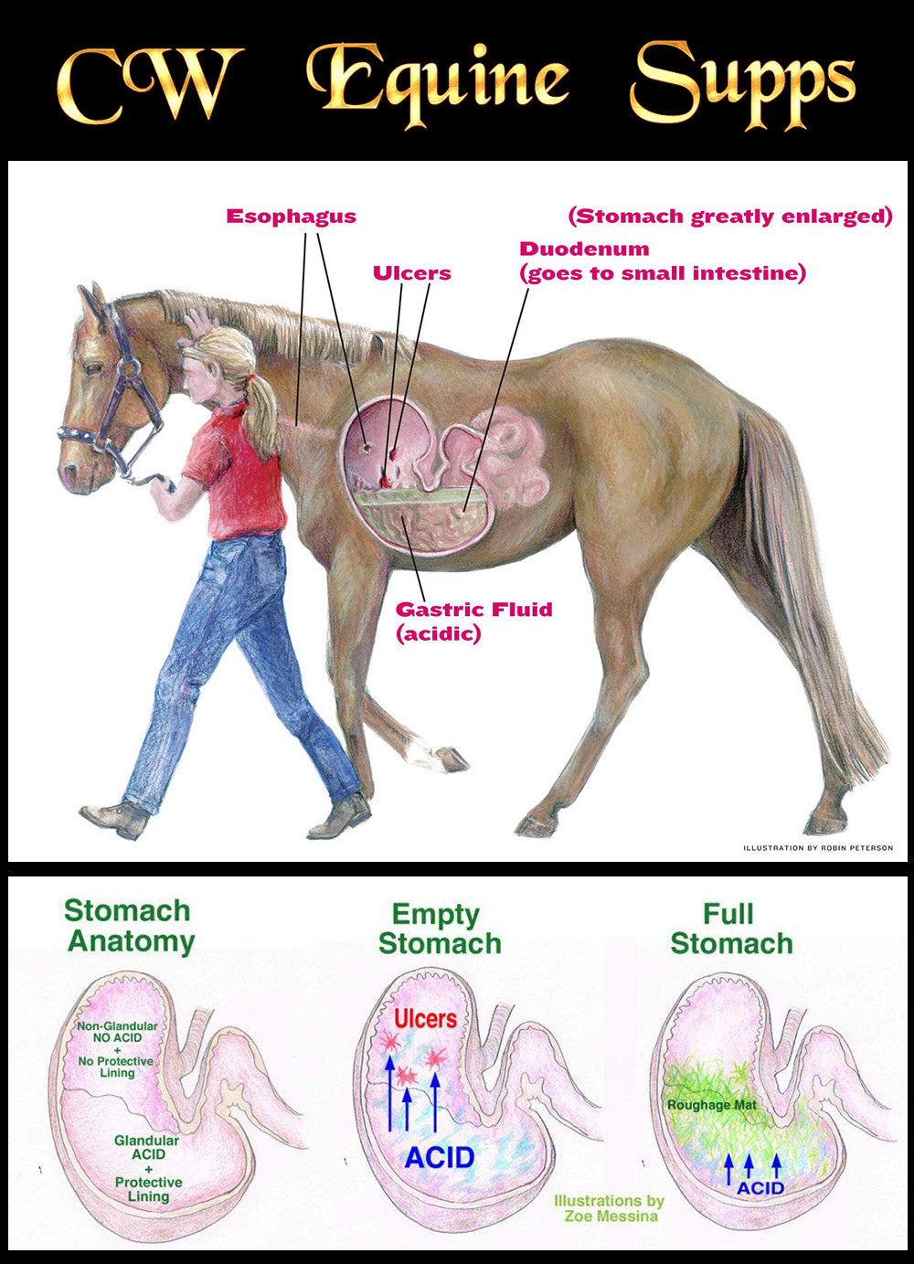 Lecithin Powder (for stomach ulcers)