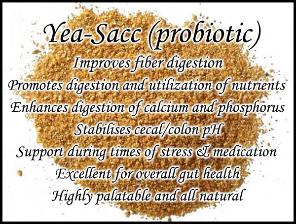 Yea-Sacc (probiotic)